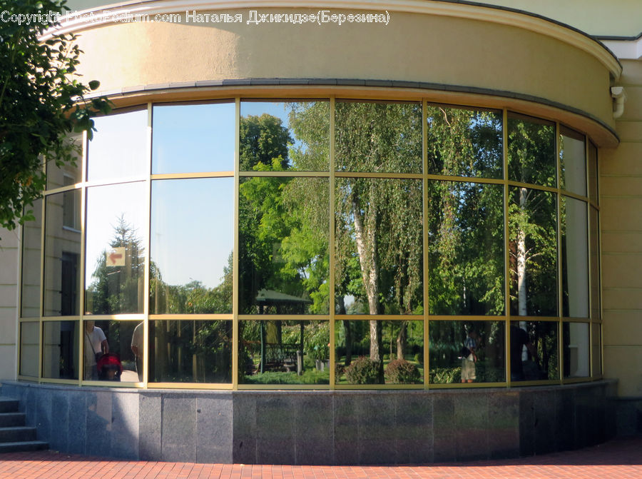 Plant, Potted Plant, Window, Gazebo, Vine, Tree, Building