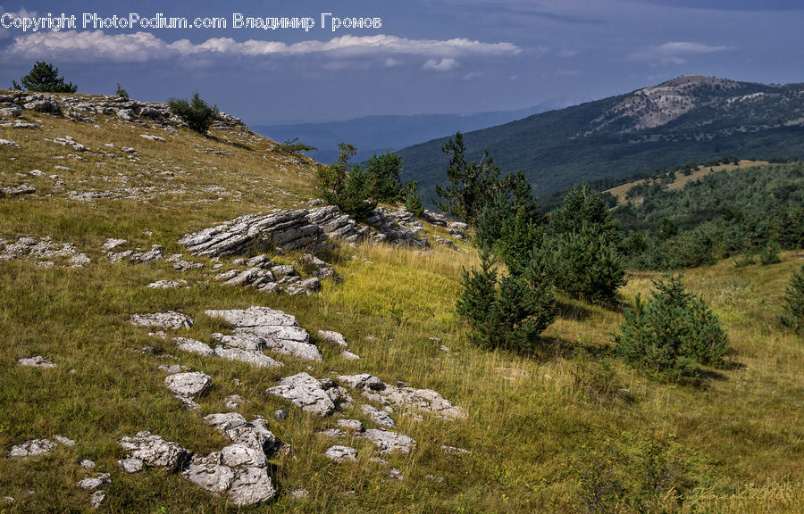 Outdoors, Wilderness, Crest, Mountain, Peak, Field, Grass