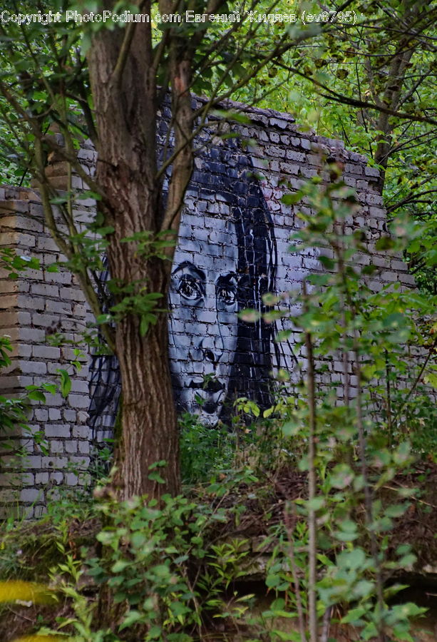 People, Person, Human, Ivy, Plant, Vine, Art