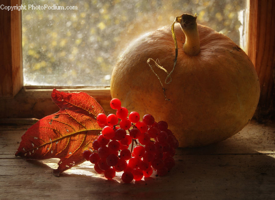 Fruit, Grapes, Pomegranate, Plant, Vine, Ivy, Blossom