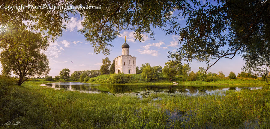 Field, Grass, Grassland, Plant, Gazebo, Blossom, Flora
