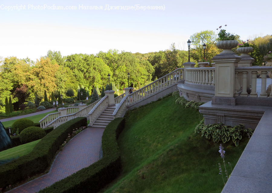 Park, Garden, Castle, Ditch, Fort, Moat, Blossom