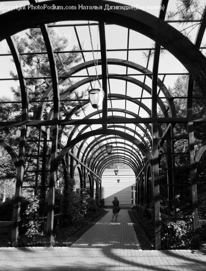 Patio, Pergola, Porch, Boardwalk, Path, Pavement, Sidewalk