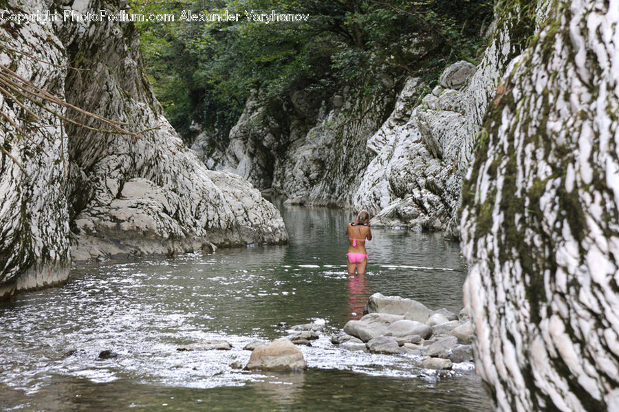 Water, Creek, Outdoors, River, Coast, Sea, Forest