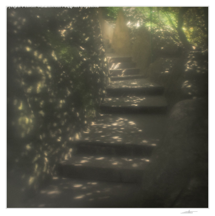 Light, Dirt Road, Gravel, Road, Flare, Sunlight