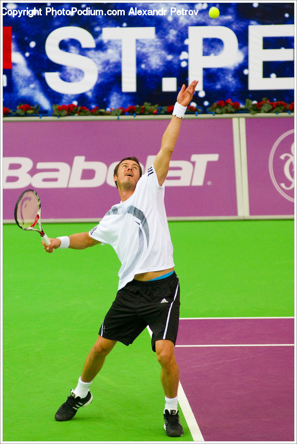 People, Person, Human, Sport, Tennis, Tennis Court