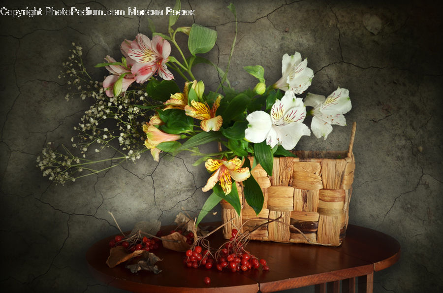 Floral Design, Flower, Flower Arrangement, Flower Bouquet, Ikebana, Plant, Potted Plant