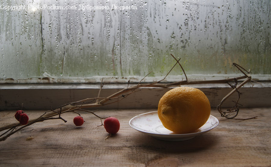 Insect, Invertebrate, Mantis, Citrus Fruit, Fruit, Orange, Ping Pong