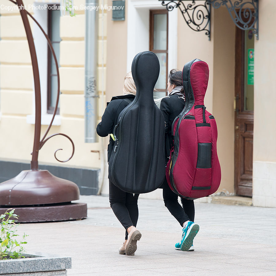 People, Person, Human, Back, Costume, Indoors, Interior Design