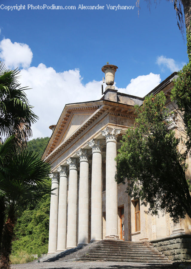 Arecaceae, Palm Tree, Plant, Tree, Column, Pillar, Building