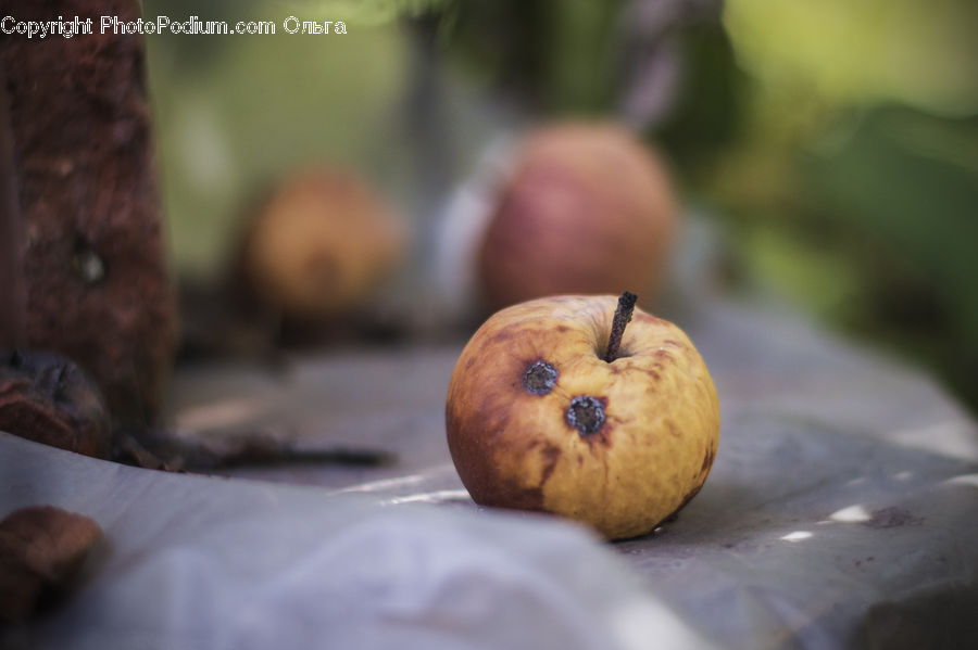 Apple, Fruit, Candy, Confectionery, Sweets