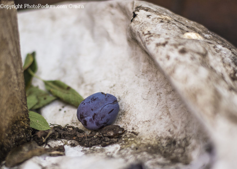 Chocolate, Dessert, Food, Fruit, Plum, Soil, Blueberry