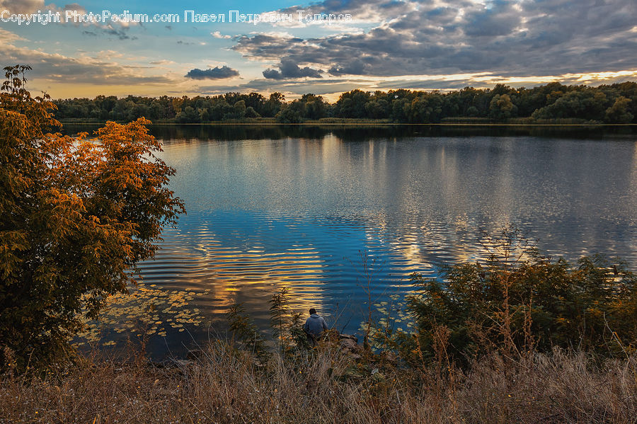 Lake, Outdoors, Water, Field, Grass, Grassland, Plant