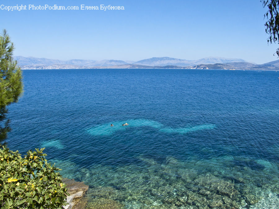 Coast, Outdoors, Sea, Water, Bush, Plant, Vegetation