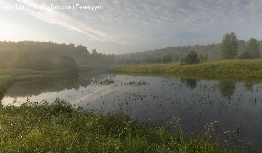 Outdoors, Pond, Water, Field, Grass, Grassland, Plant