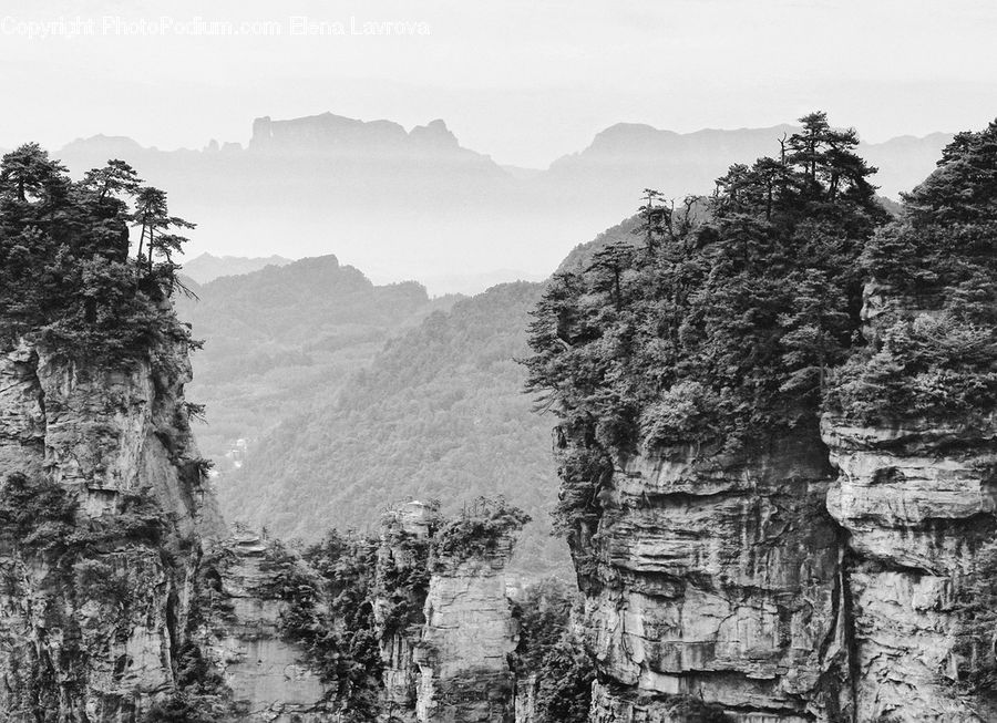Forest, Vegetation, Coast, Outdoors, Sea, Water, Crest