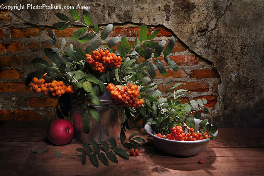 Pot, Pottery, Fruit, Persimmon, Market, Produce, Grapes