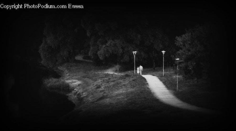 Tunnel, Night, Outdoors, Plant, Tree, Forest, Vegetation