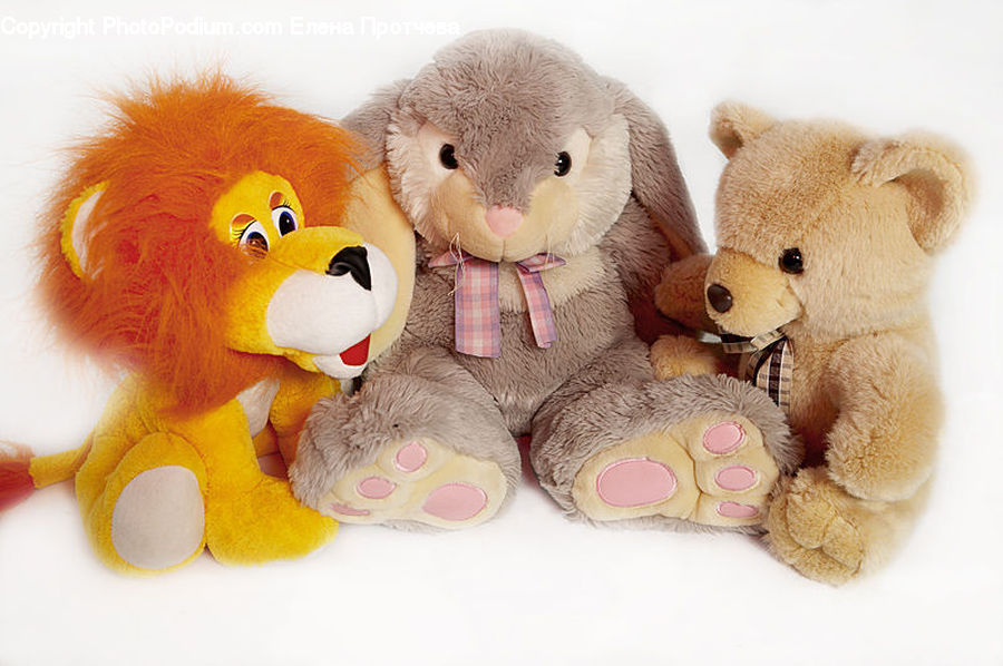 Toy, Teddy Bear