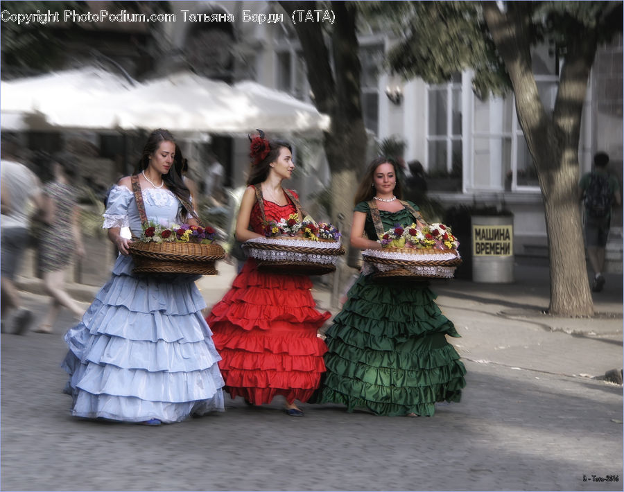 People, Person, Human, Dance, Dance Pose, Flamenco, Music