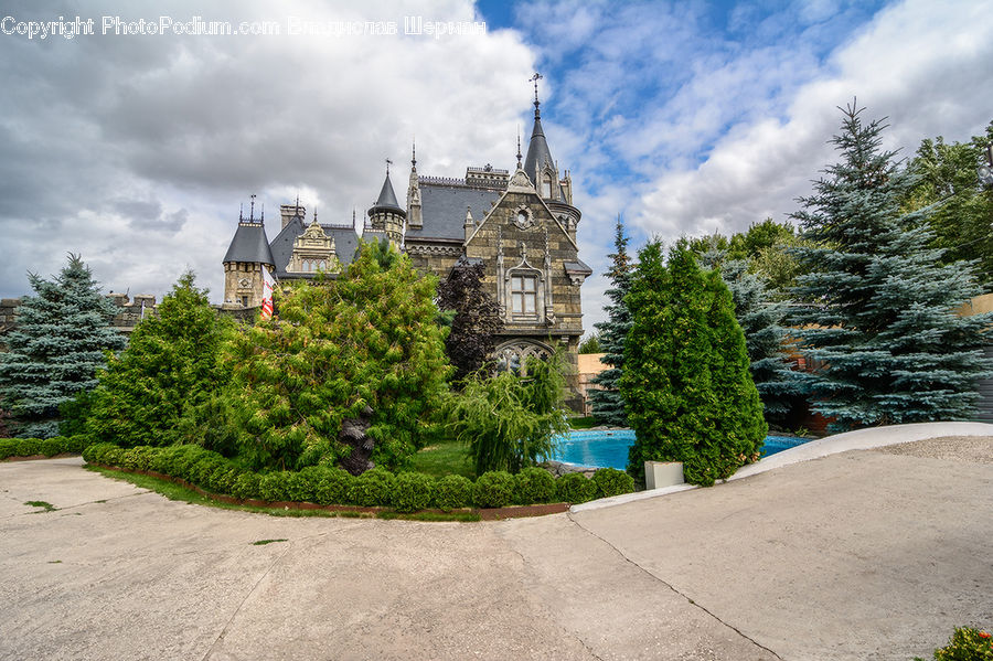 Architecture, Castle, Fort, Conifer, Plant, Tree, Wood