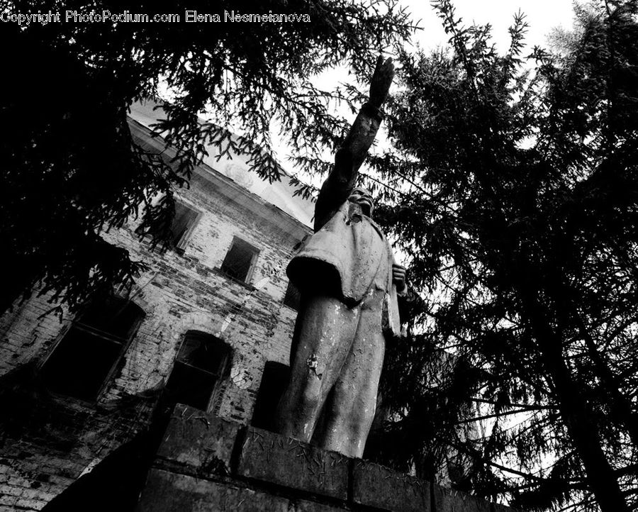 Art, Sculpture, Statue, Drain, Sewer, Plant, Tree