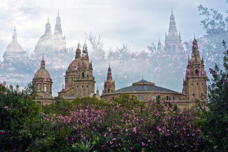 Architecture, Pagoda, Shrine, Temple, Worship, Blossom, Flora