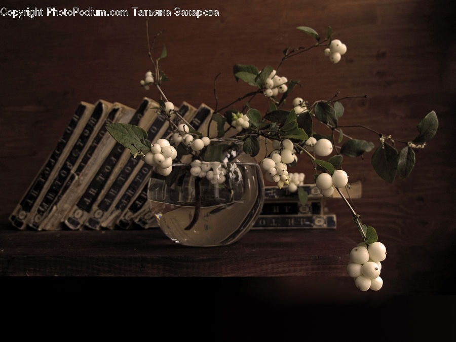 Fruit, Grapes, Light, Floral Design, Flower, Flower Arrangement, Flower Bouquet