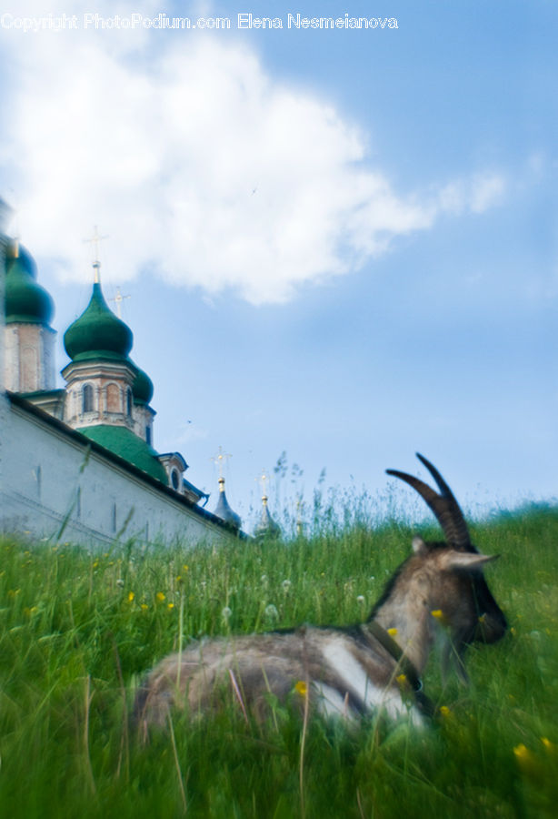 Architecture, Cathedral, Church, Worship, Bell Tower, Clock Tower, Tower