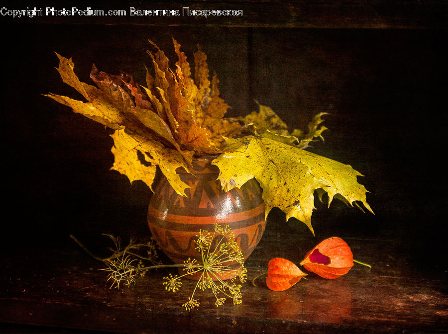 Pot, Pottery, Art, Carpet, Tapestry, Maple, Maple Leaf
