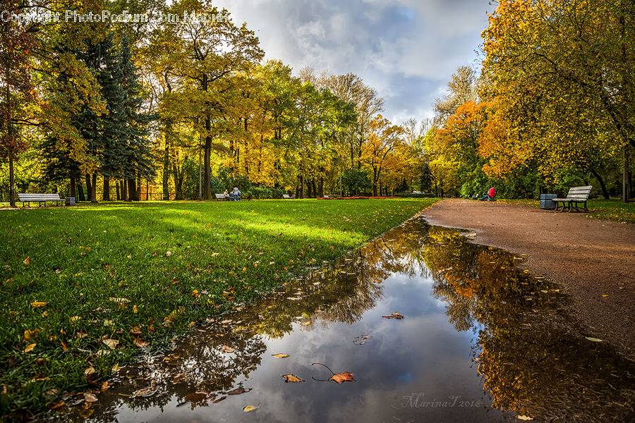 Puddle, Dirt Road, Gravel, Road, Field, Grass, Grassland
