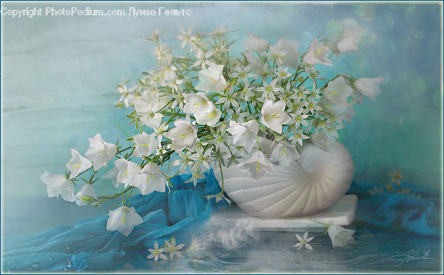 Blossom, Flower, Lilac, Plant, Flower Arrangement, Flower Bouquet, Lily