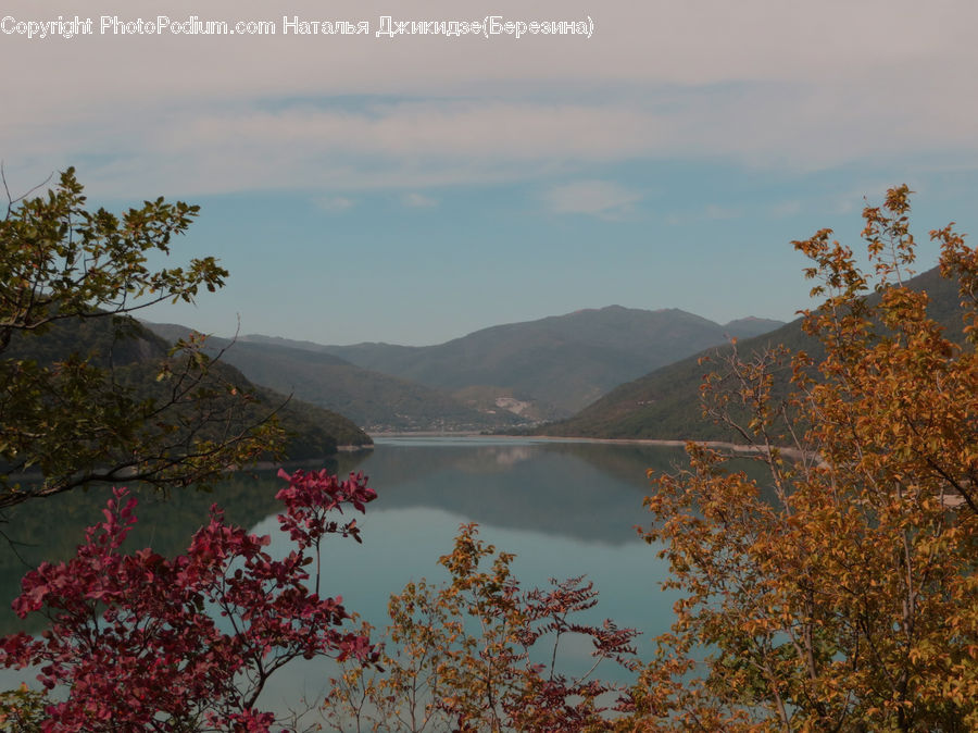 Lake, Outdoors, Water, Landscape, Nature, Scenery, Blossom