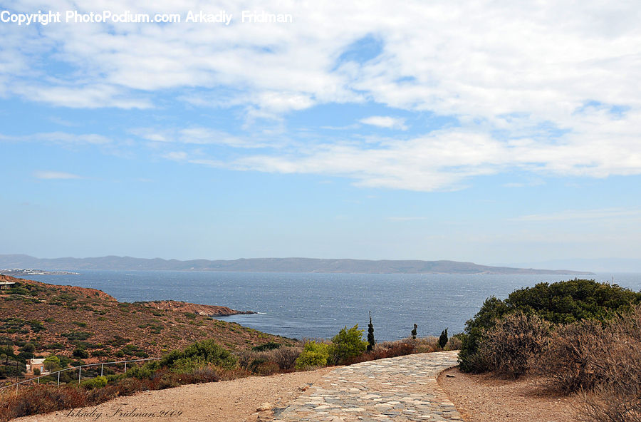 Coast, Outdoors, Sea, Water, Bush, Plant, Vegetation