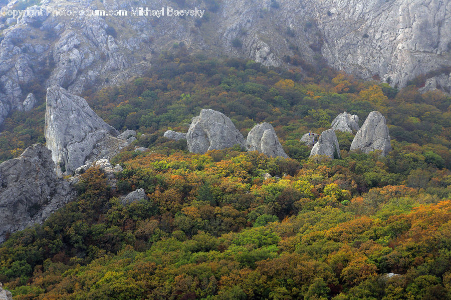 Crest, Mountain, Outdoors, Peak, Rock, Forest, Jungle