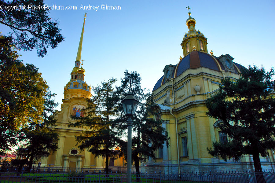 Architecture, Bell Tower, Clock Tower, Tower, Plant, Tree, Building