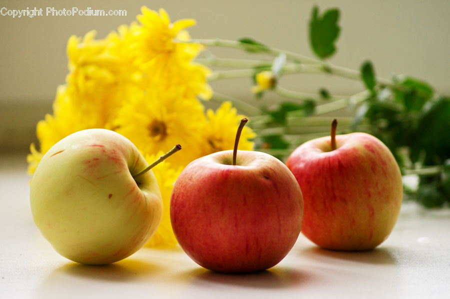 Apple, Fruit, Peach, Cherry, Anther, Flower, Petal