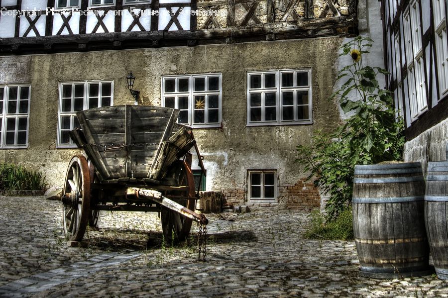 Ivy, Plant, Vine, Carriage, Horse Cart, Vehicle, Fence