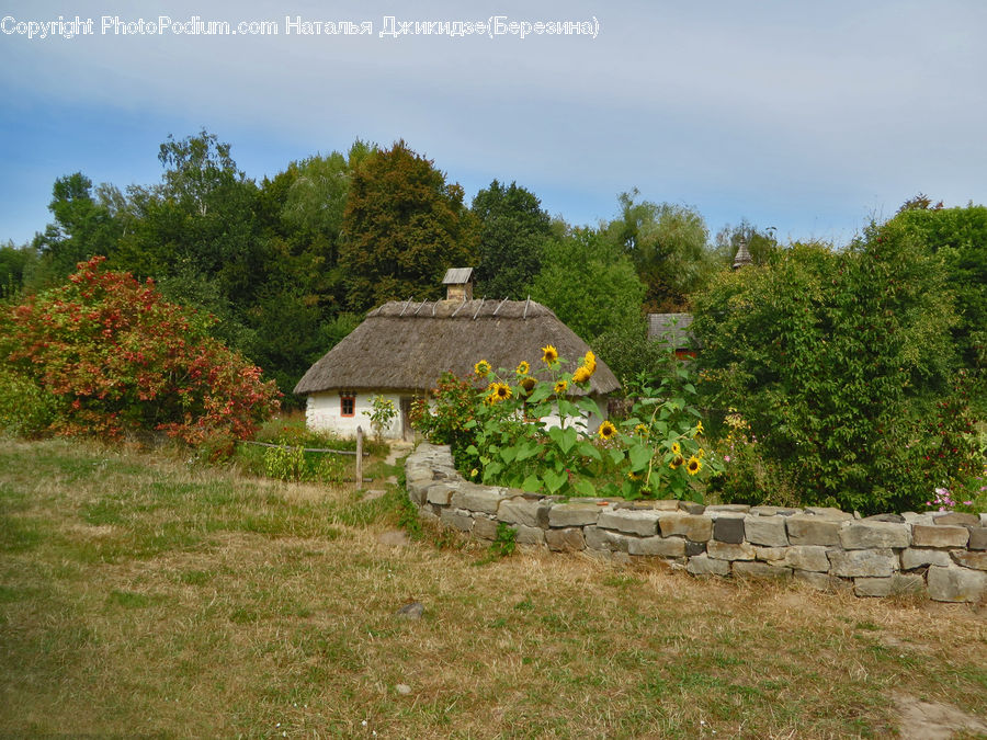 Building, Cottage, Housing, Cabin, Hut, Rural, Shack