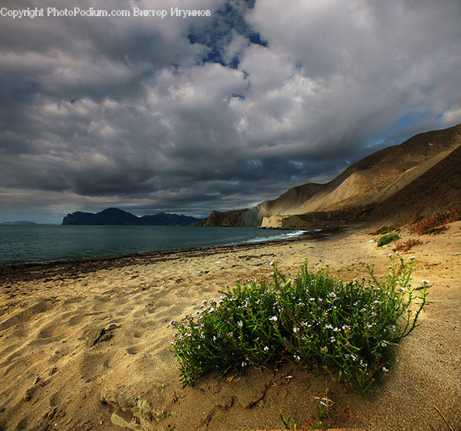 Soil, Beach, Coast, Outdoors, Sea, Water, Plant