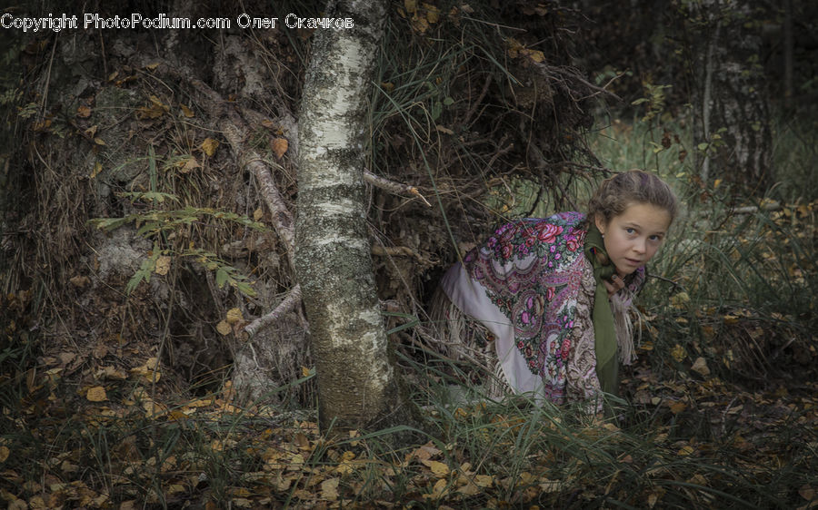 Person, Portrait, Female, Forest, Vegetation, Outdoors