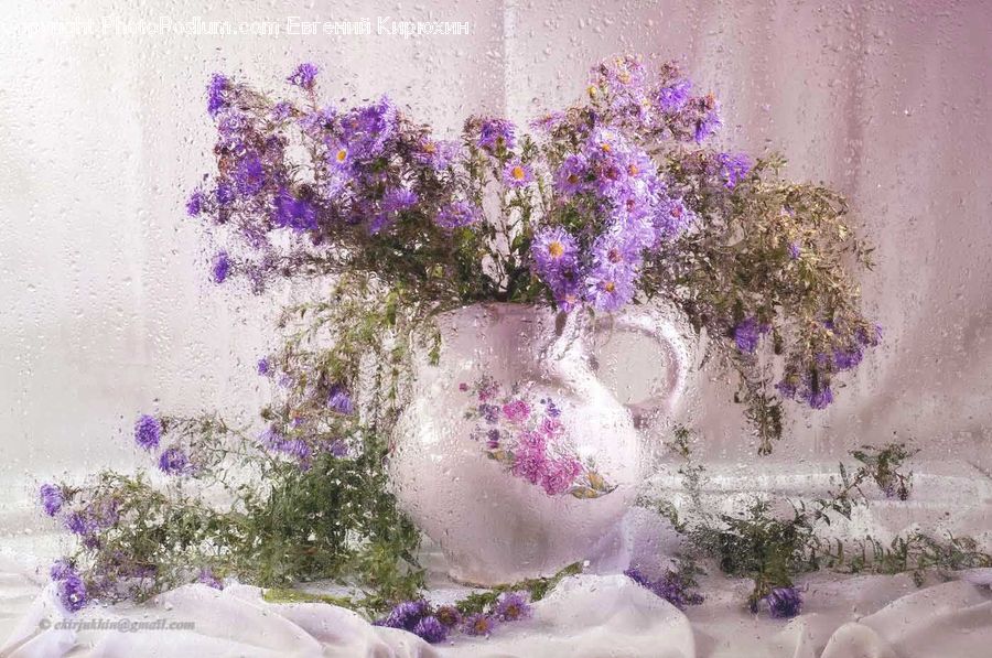 Blossom, Flower, Lilac, Plant, Lavender, Flora, Thistle