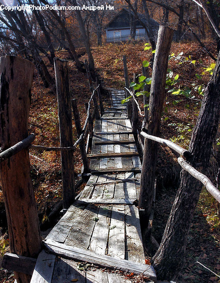 Boardwalk, Deck, Path, Sidewalk, Walkway, Trail, Crypt