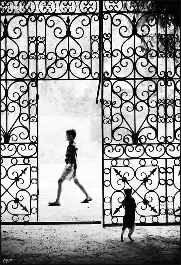 Arch, Gate, Silhouette