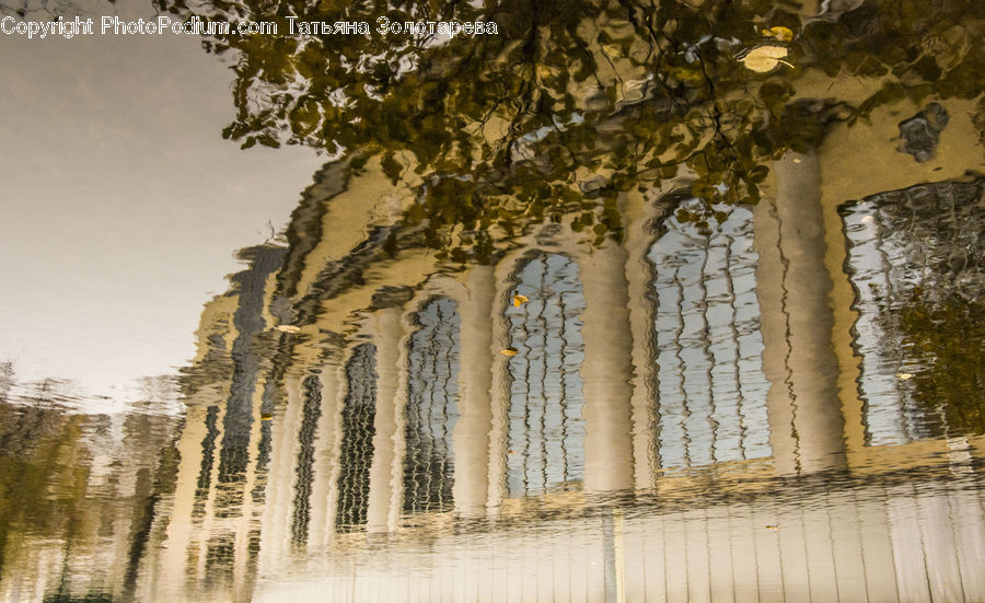 Column, Pillar, Architecture, Parthenon, Temple, Worship, Birch