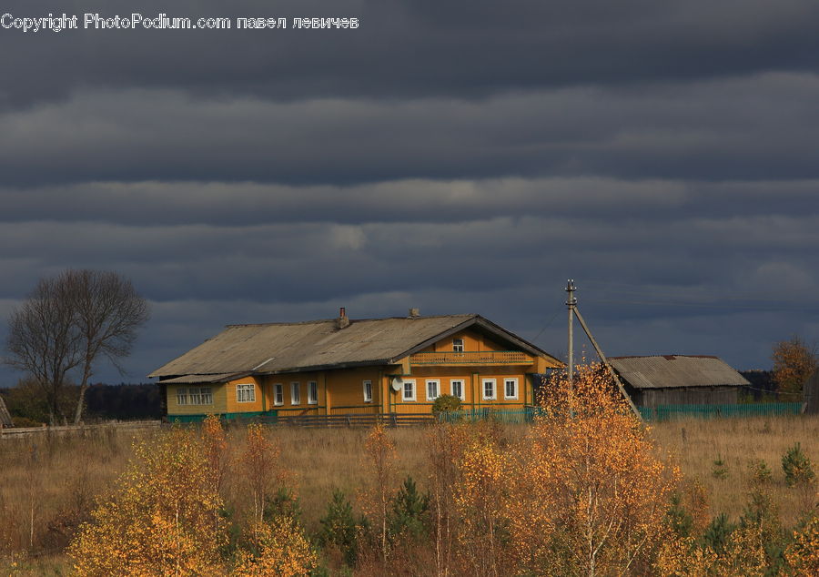 Cabin, Hut, Rural, Shack, Shelter, Building, Cottage