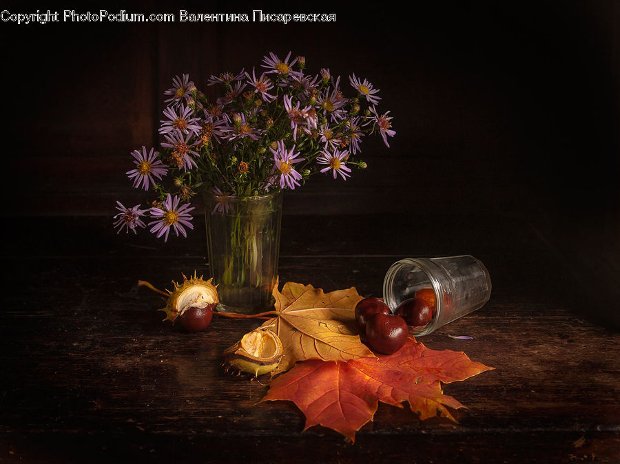 Acorn, Plant, Seed, Fruit, Grapes, Floral Design, Flower