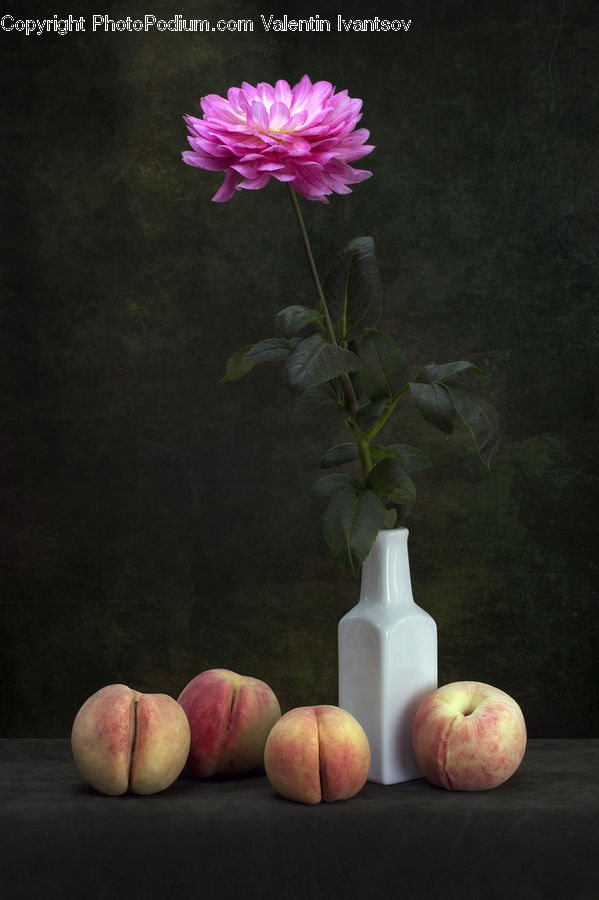 Fruit, Peach, Acanthaceae, Annonaceae, Blossom, Flora, Plant
