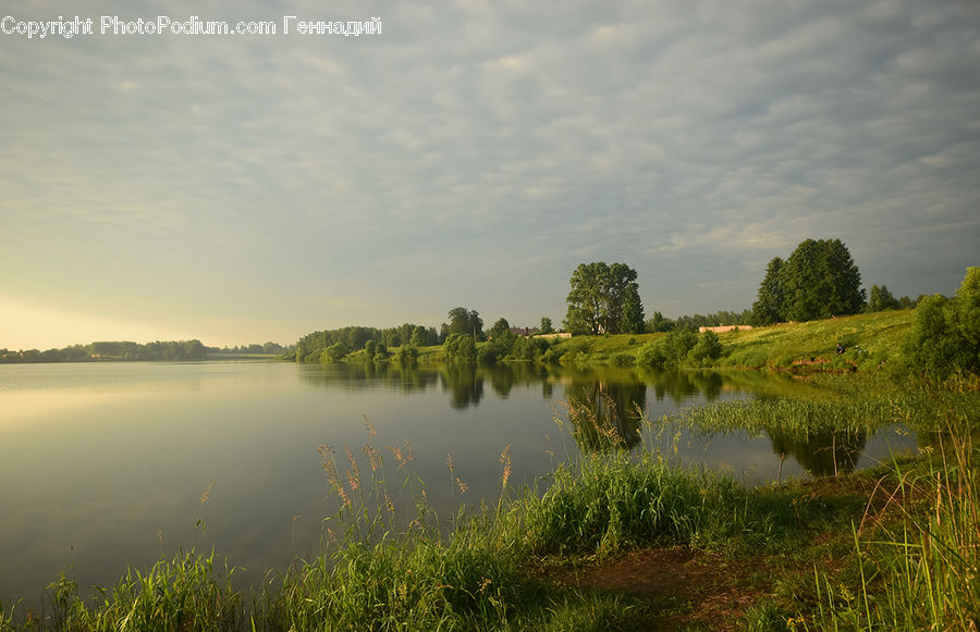 Outdoors, Pond, Water, Landscape, Nature, Scenery, Dawn