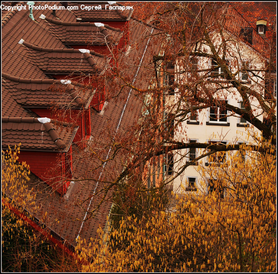 Rust, Building, Aerial View, Cottage, Housing, Apartment Building, High Rise